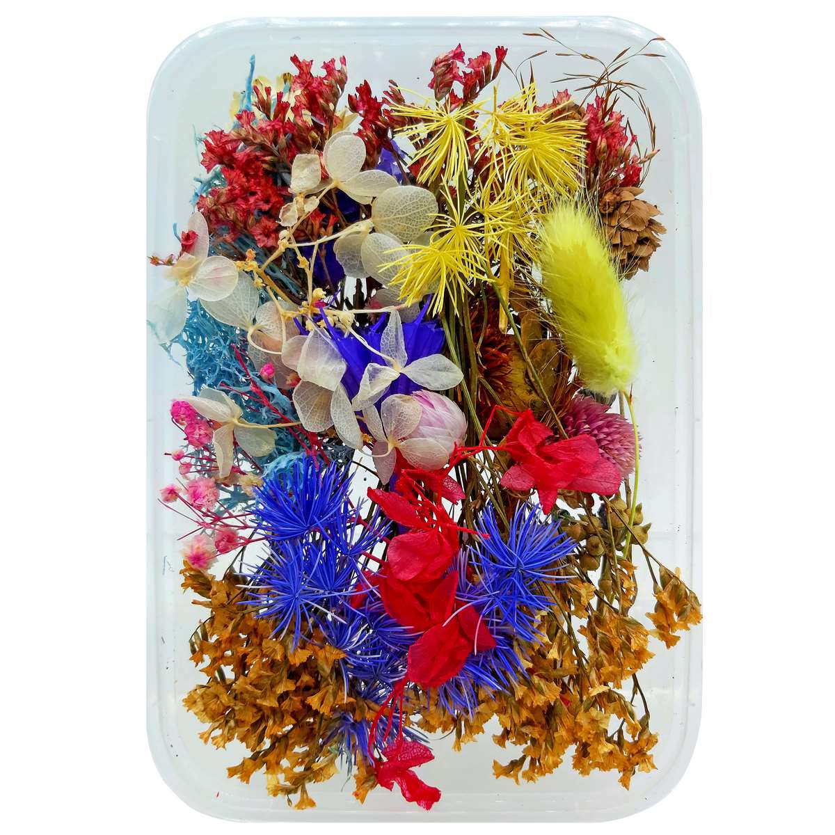 Assorted Dried Flower Box