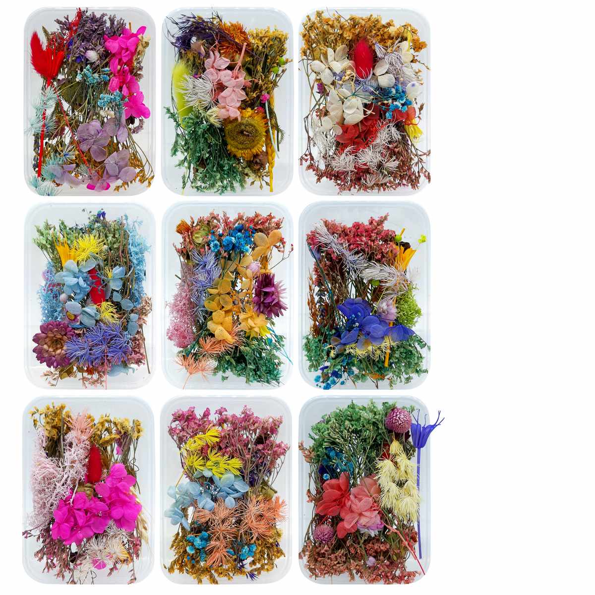 Assorted Dried Flower Box