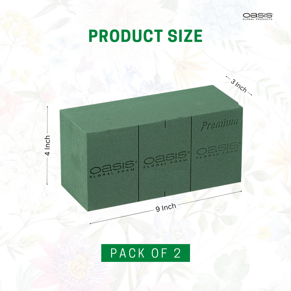 Floral Foam Bricks by OASIS (Pack of 2)