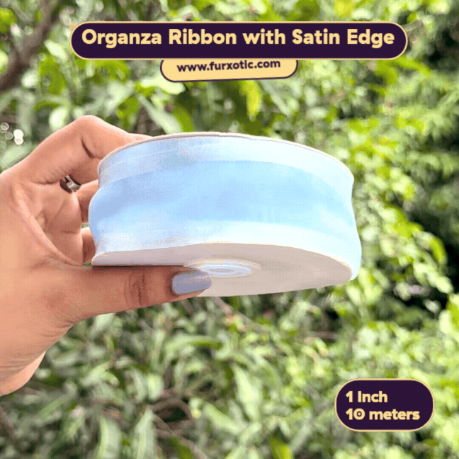 Organza Ribbon with Satin Edge (1 Inch x 10 Metres)