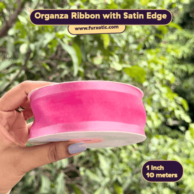 Organza Ribbon with Satin Edge (1 Inch x 10 Metres)