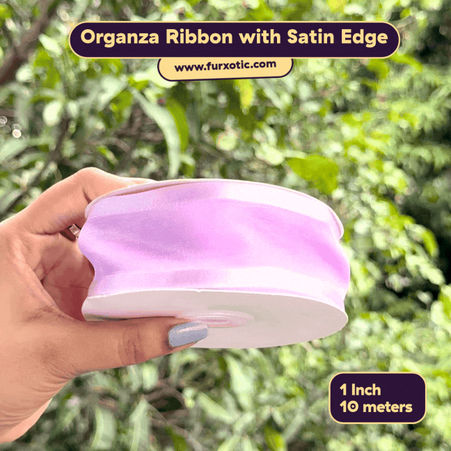 Organza Ribbon with Satin Edge (1 Inch x 10 Metres)
