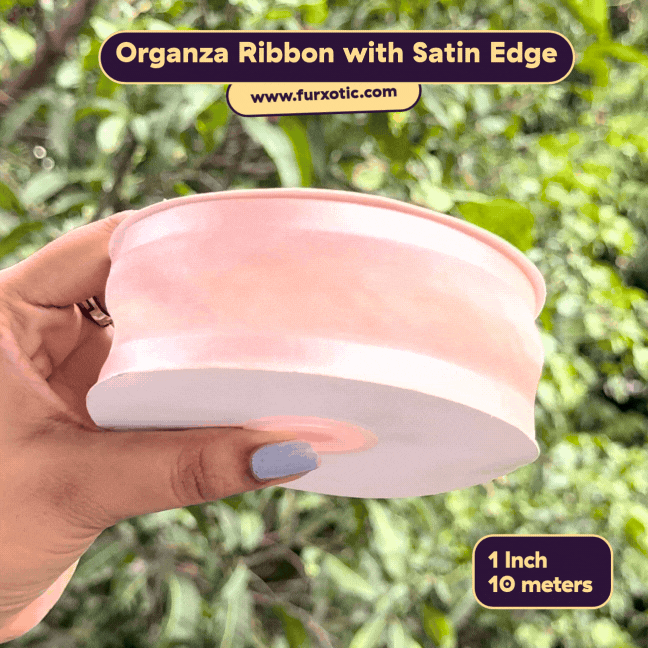 Organza Ribbon with Satin Edge (1 Inch x 10 Metres)
