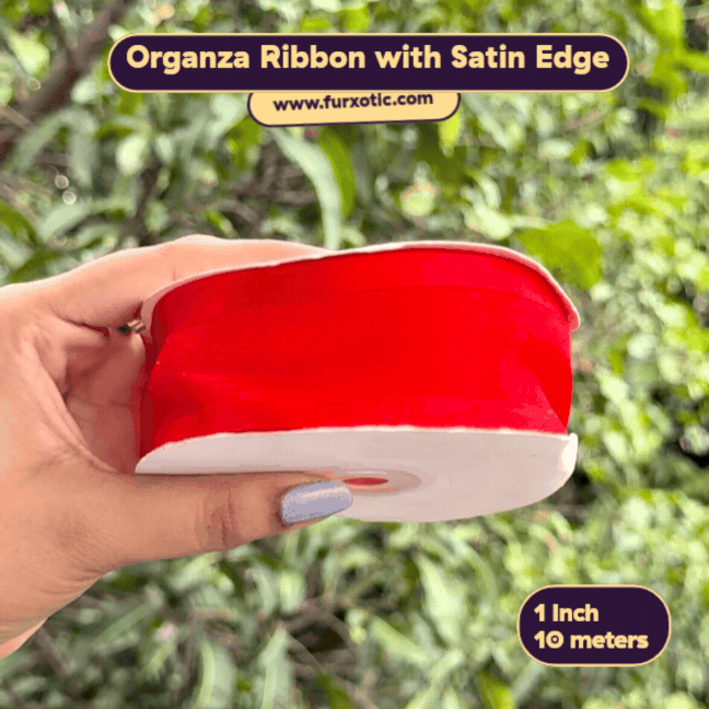 Organza Ribbon with Satin Edge (1 Inch x 10 Metres)