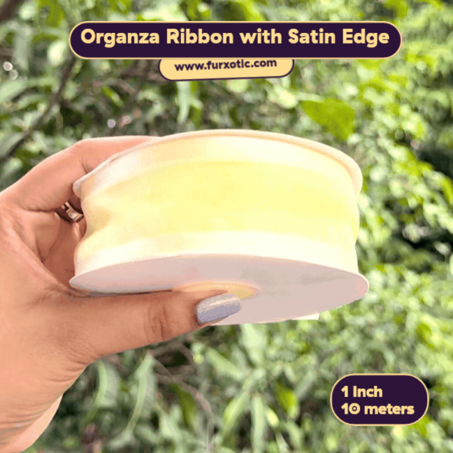 Organza Ribbon with Satin Edge (1 Inch x 10 Metres)