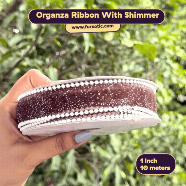 Pearl Edge Organza Ribbon With Shimmer (1 Inch x 10 Metres)