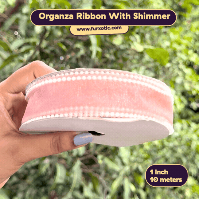Pearl Edge Organza Ribbon With Shimmer (1 Inch x 10 Metres)