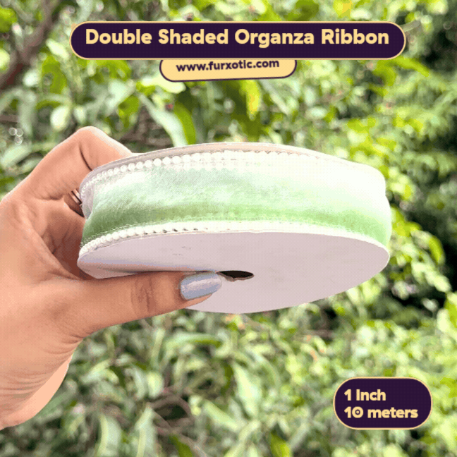 Double Shaded Pearl Edge Organza Ribbon (1 Inch x 10 Metres)