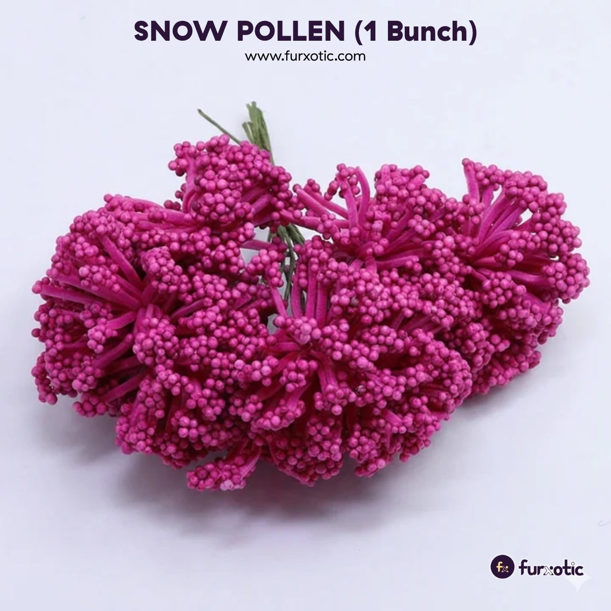Snow Pollen (Dark Pink - 1 Bunch / 12 pcs)