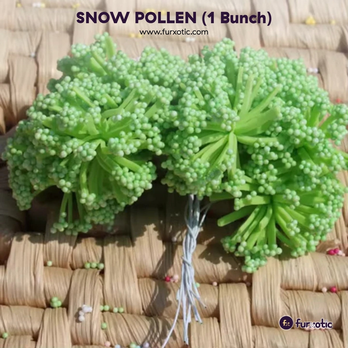 Snow Pollen (Green - 1 Bunch / 12 pcs)