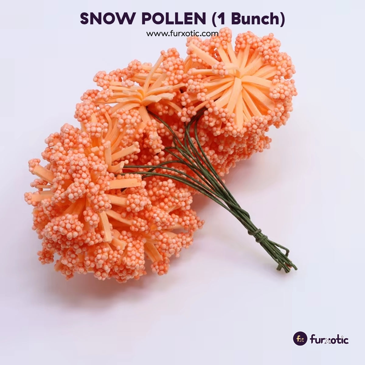 Snow Pollen (Orange - 1 Bunch / 12 pcs)