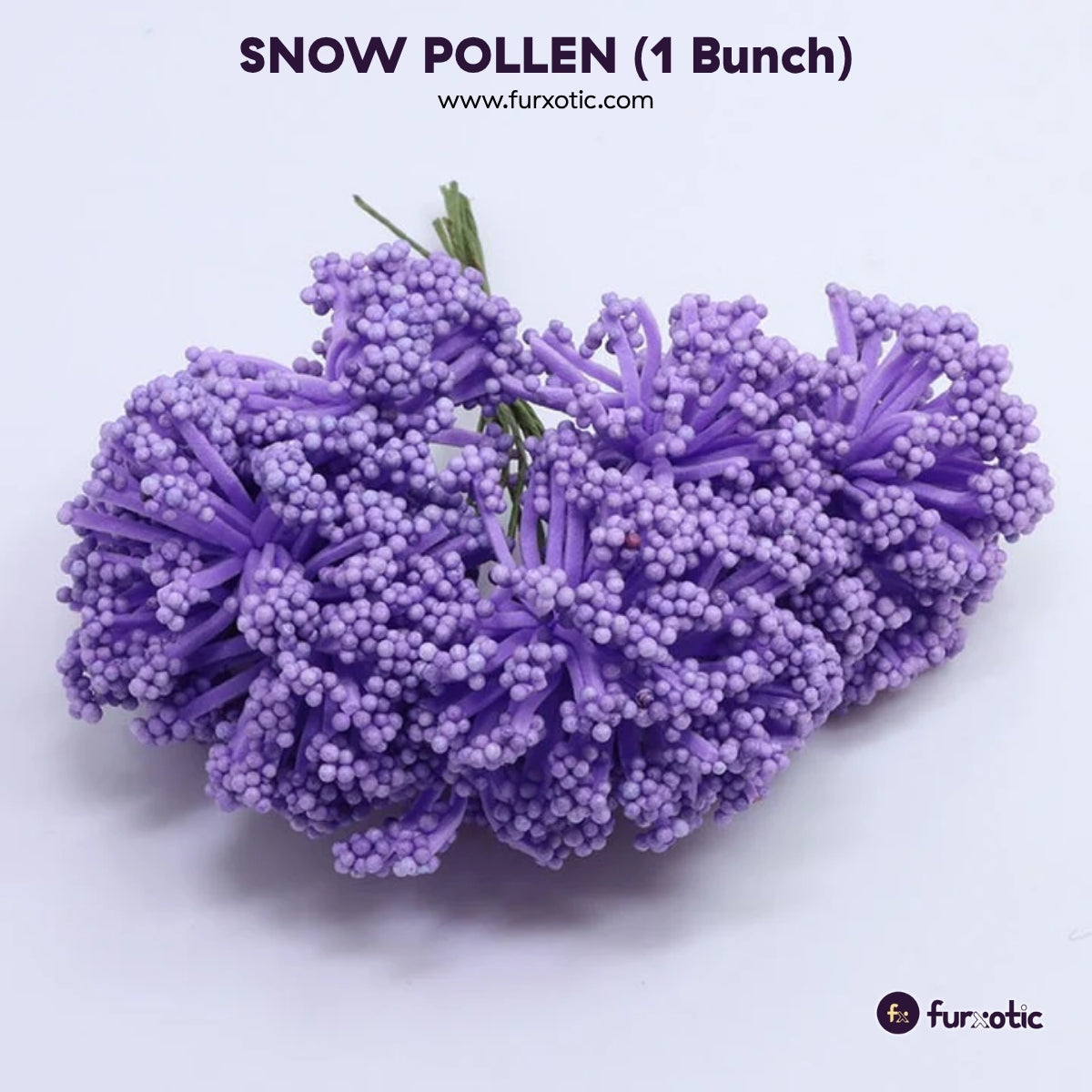 Snow Pollen (Purple - 1 Bunch / 12 pcs)