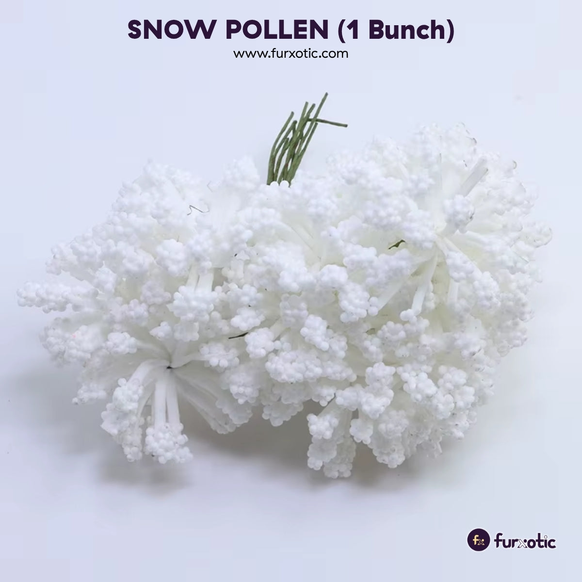 Snow Pollen (White - 1 Bunch / 12 pcs)