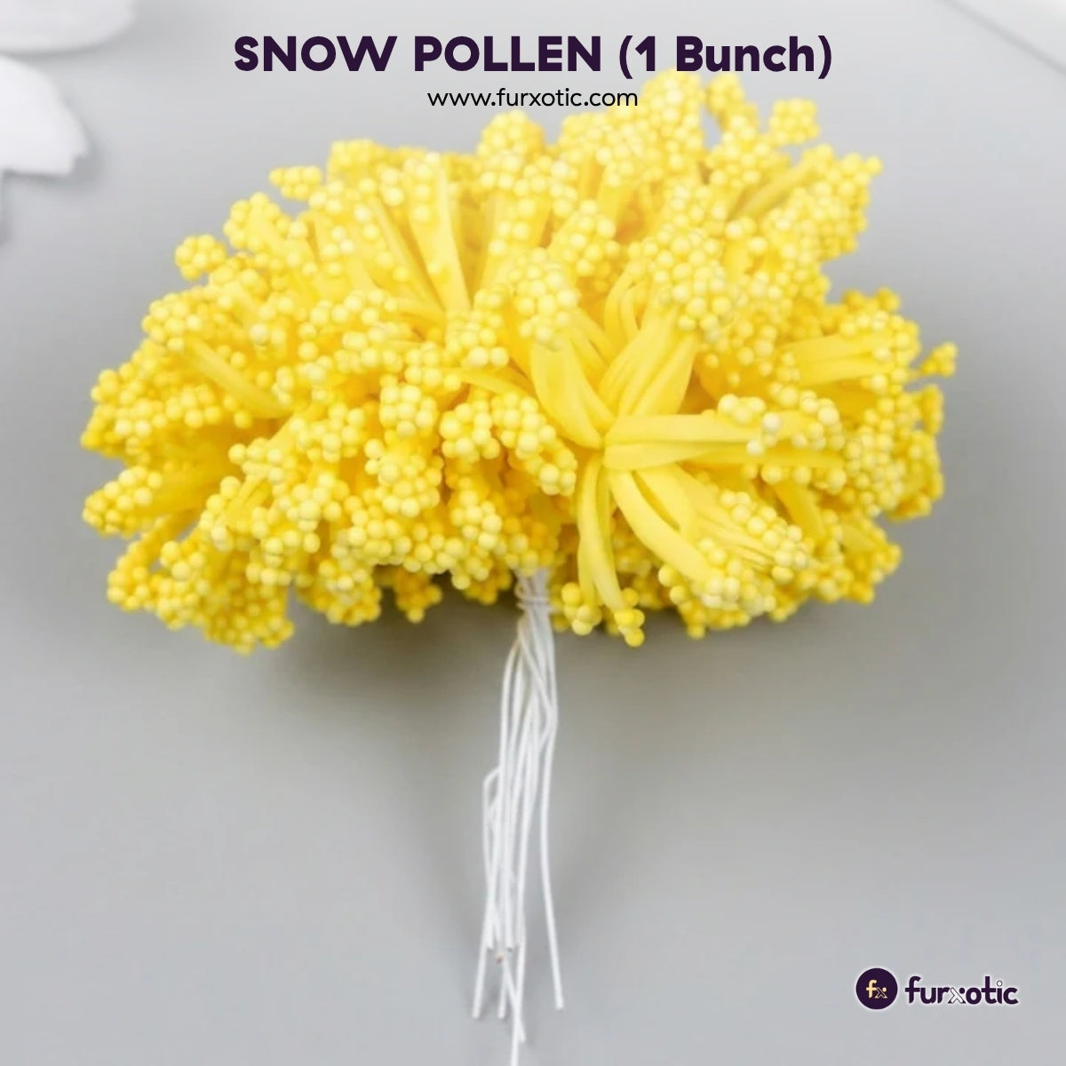 Snow Pollen (Yellow - 1 Bunch / 12 pcs)