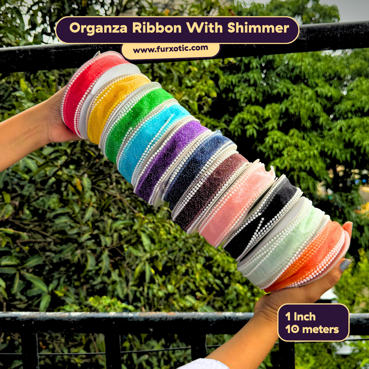 Pearl Edge Organza Ribbon With Shimmer (1 Inch x 10 Metres)