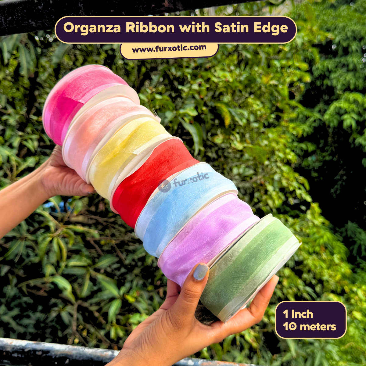 Organza Ribbon with Satin Edge (1 Inch x 10 Metres)