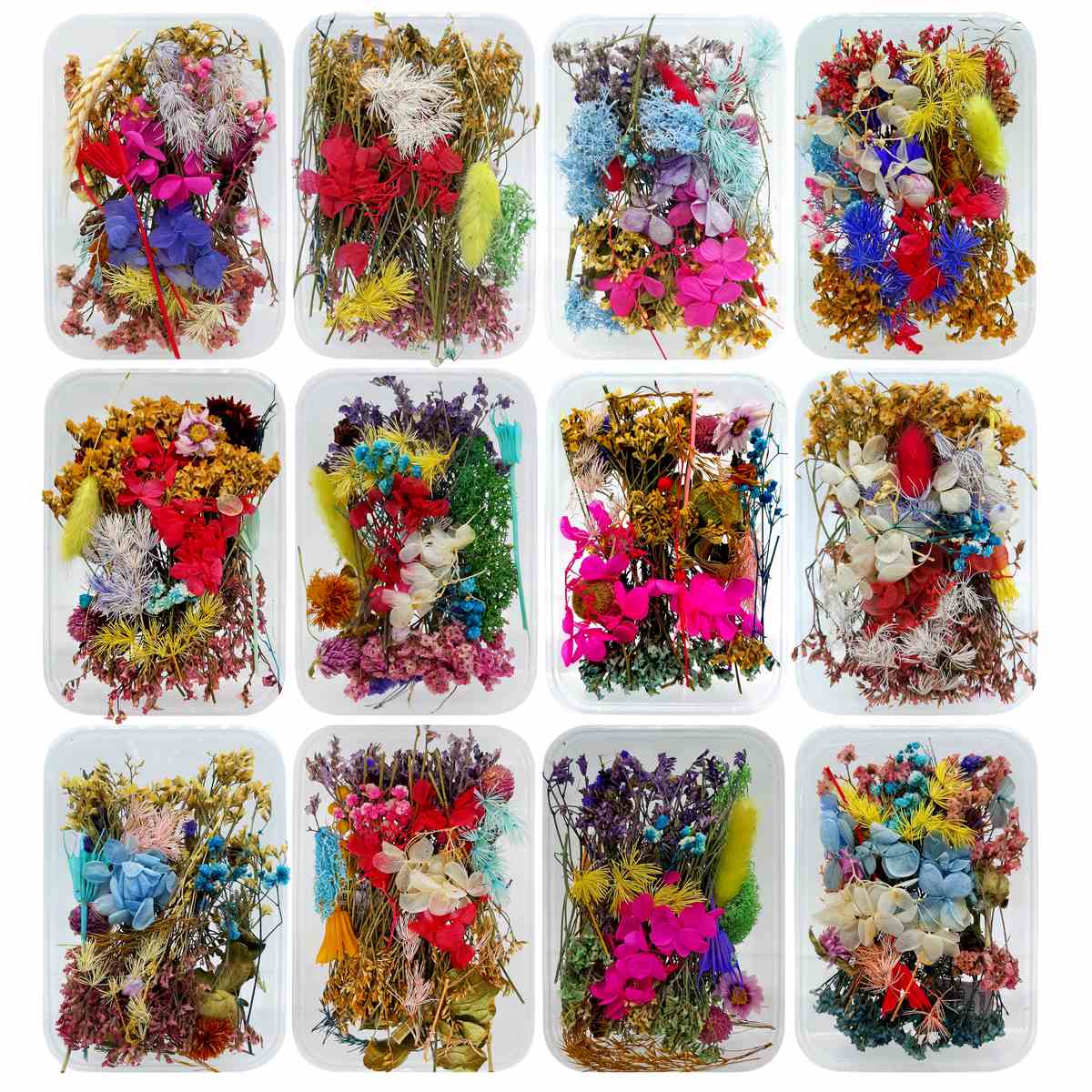 Assorted Dried Flower Box