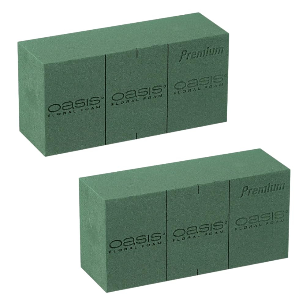 Floral Foam Bricks by OASIS (Pack of 2)