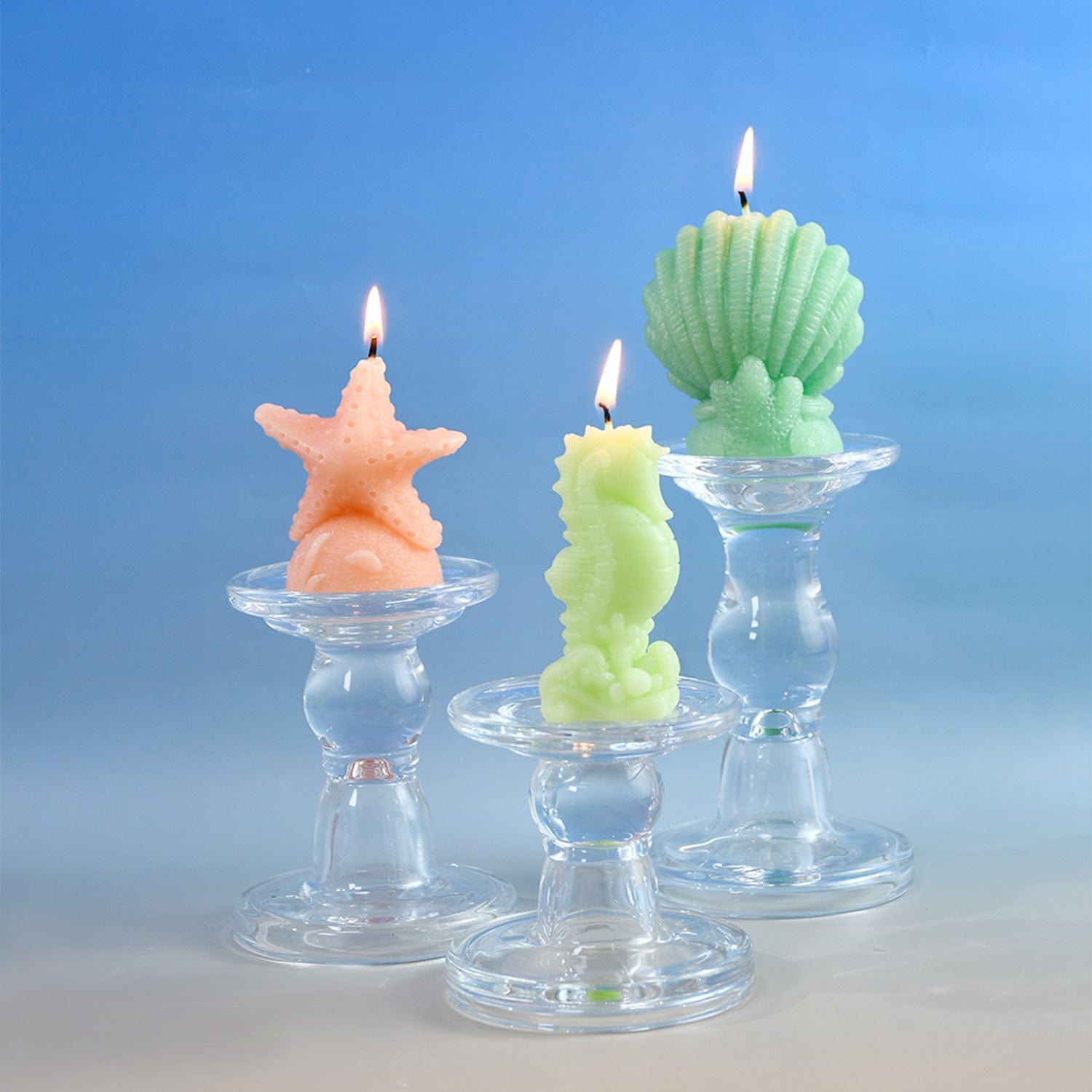 Shell Coral Candle Mould - 2 - Furxotic